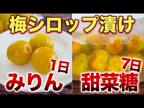 【梅のみりん漬け&甜菜糖漬け】健康おやつ！保存袋で簡単！カリカリ食感まろやか万能梅シロップ【管理栄養士】