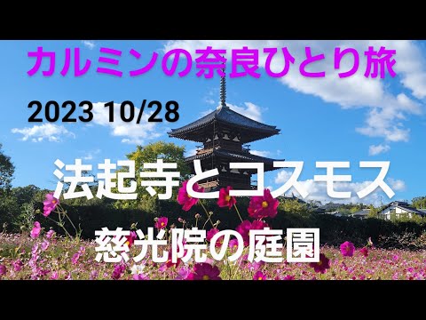 カルミンの【コスモス畑と法起寺】【慈光院の庭園】