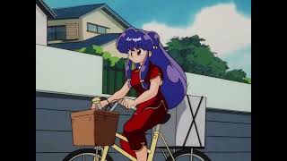 Shampoo's Bicycle