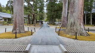 【杜の都仙台旅】JR松島海岸駅から日本三景松島近くにある伊達政宗公が創建した 瑞巌寺を散策しました🚶 洞窟あり、鉄道殉職者碑にはSLの動輪あり、本堂は写真NGでしたので外から撮影しました📹️