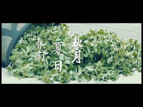 龍眼村「茶禪一味」