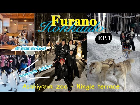 VLOG - Hokkaido Ep.1 ขับรถเที่ยวFurano นอนบ้านชนบท หมู่บ้านกลางหุบเขาNingleTerrace สวนสัตว์Asahiyama