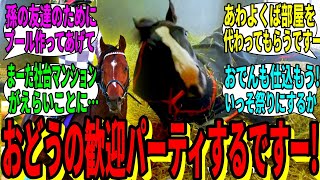 【競馬の反応集】「おどうが社台SSにくるですー」に対する視聴者の反応集