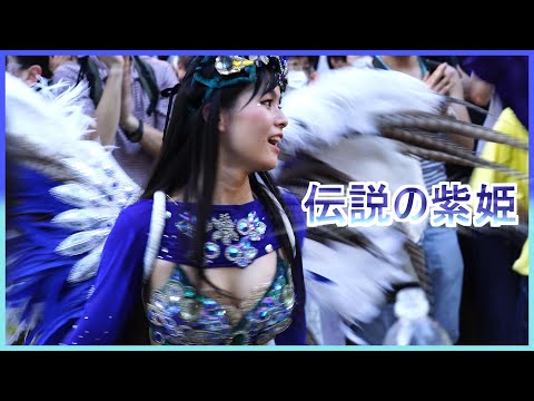 4K 大学生サンバ 伝説の紫姫が登場！ カーニバル ウニアンメンバー 平間銀座サマーフェスタ 2023 Japanese Samba