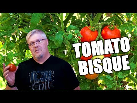 Tomato Bisque from home-grown tomatoes - Old Man Cooking Jr.