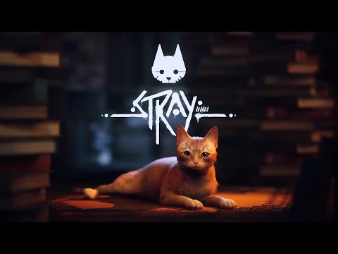 【Stray】猫　#２