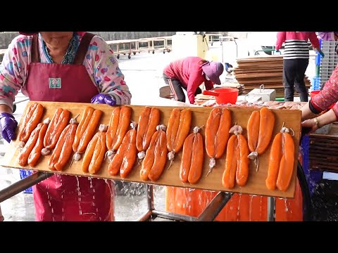 The most expensive fish roe! Catching thousands of mullet and making marinated mullet roe 烏魚捕撈,烏魚子製作