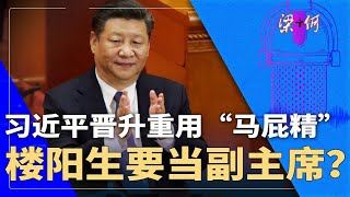 刘宁成希望之星！王忠林感恩获晋升，楼阳生要当副主席？习近平棋子太多，搞晕自己！| #梁+何（412）