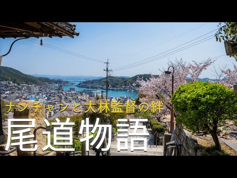 【広島県尾道市】桜吹雪のロケ地巡り、ナンチャンと大林宣彦監督の絆/ Onomichi in Hiroshima is the Symbol of Japan's Good Old Days.