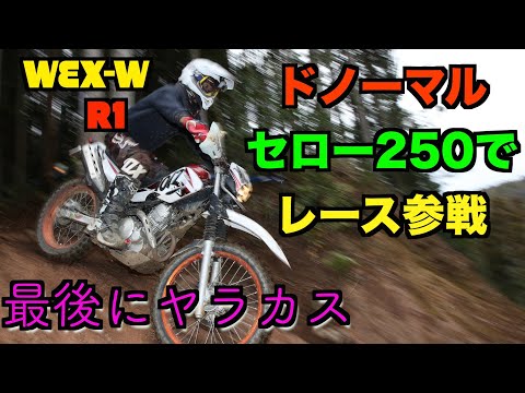 セロー250でエンデューロレース！最後にやってしまう（笑）何かヤラカス男