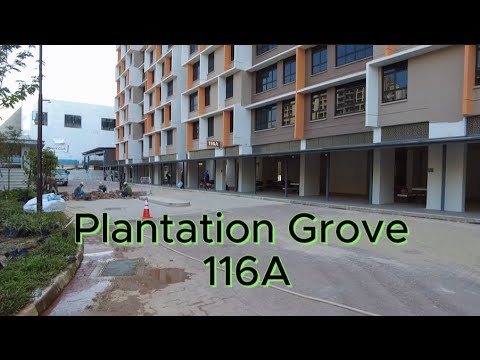 TENGAH☘️Plantation Grove opening (Blk116A 116B 117A) ☘️Tengah Community Club well progress☘️