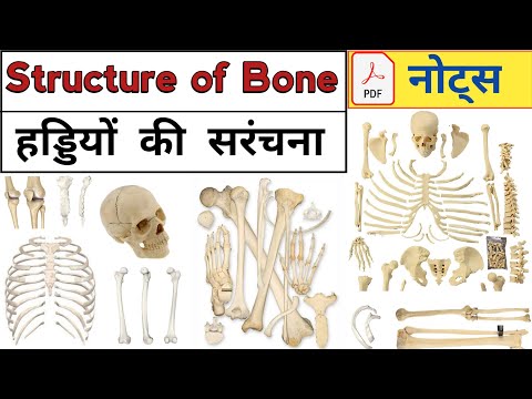 Structure of Bone | Anatomy and physiology of bone | Bone Structure | Anatomy | Physiology | Doctor