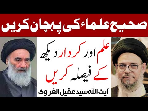 Sahi ulma ki pehchan krein || Ayatullah Syed Aqeel Ul Gharavi 2024