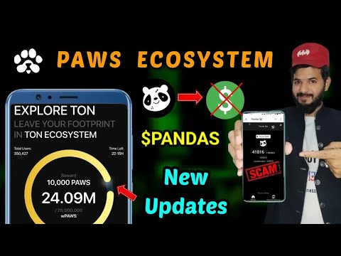 Paws Ecosystem new update｜ Paws new ton transaction and wpaws stake ｜ Pandas scam $PANDAS ｜ Paws