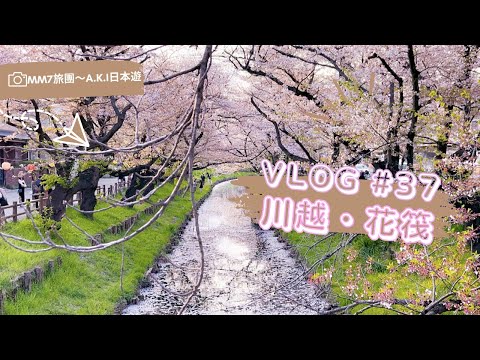 VLOG #37 埼玉川越 | 新河岸川 絕美櫻花花筏 | 川越冰川神社 | 可愛的金魚水蜜桃梳打 | 2023花見系列 #川越 #櫻花