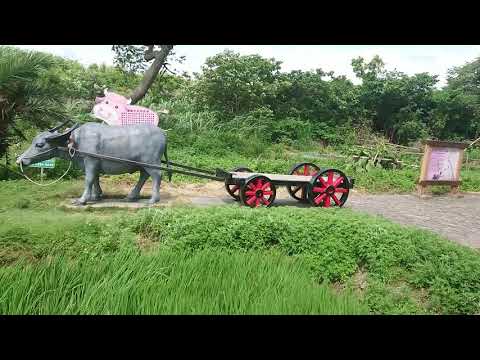 欣賞108年6月7日搭乘輕便車（新竹槺榔驛）沿途有美麗的景點。