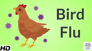 Bird Flu(Avian Influenza), Causes, Signs and Symptoms, Diagnosis and Treatment.