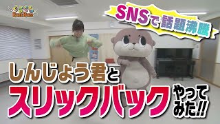 「SNSで話題沸騰!　しんじょう君とスリックバックやってみた‼」2024/2/8放送　ぐるぐるBuzzBuzz