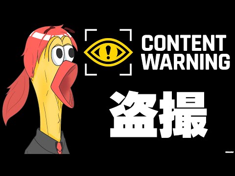 【content warning】こまさん！てんぷーさん！一緒に全力ホラゲするぞ！【コラボ配信】水色