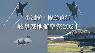 【 岐阜基地航空祭2024 小編隊・機動飛行】飛実団 F-15 F-2 T-4×2  岐阜基地  2024/11/17