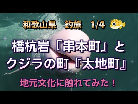 1/4和歌山県、地元料理と筏、カセ釣り旅行。串本町・太地町編。橋杭岩の絶景と貴重な食材使った料理が美味すぎた！