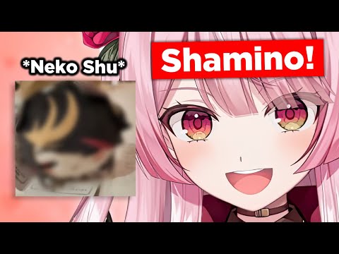 Rosemi won a Neko Shu plushie in Japan