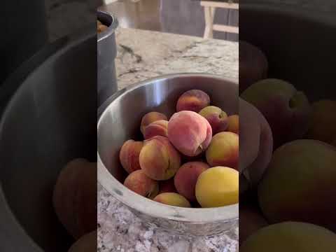 Peaches galore in my Arizona garden! #growyourownfood