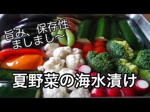 旨み保存性アップ！夏野菜の塩水漬け３％濃度の塩水に漬けとくだけ