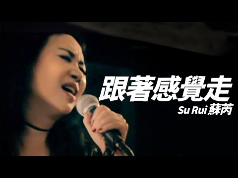 Su Rui 蘇芮 - 跟著感覺走【字幕歌词】Chinese Pinyin Lyrics   I  1988年《台北 東京》專輯。