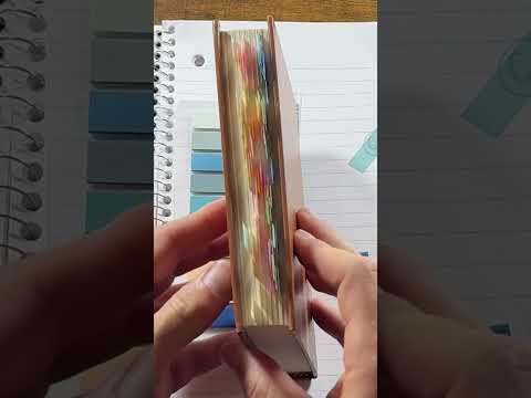 Mr. Pen Sticky Tabs (Honest Review)