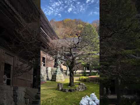 【福井】いるだけで幸福感が増す「大本山永平寺」