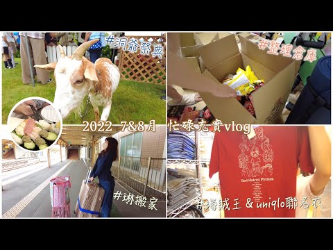 日本生活⎮日常⎮8月大掃除、uniqlo聯名海賊王、琳搬家、連續日常料理❤️⎮Eve 伊芙,留日生活中