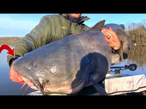 Epic 88lb Catfish Battle - Fishing For Giant Catfish on a Big River