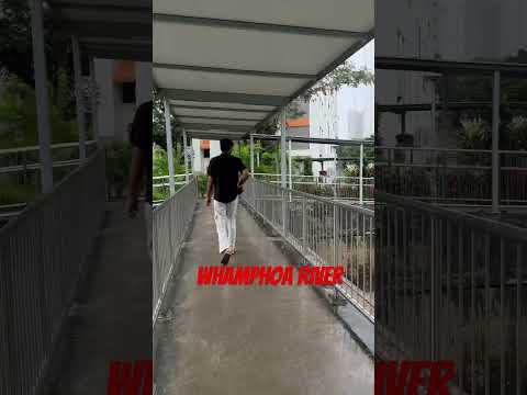 The River #singaporeriver #boonkeng #rochar #shorts #ytshorts #whampoariver #singaporelife #short