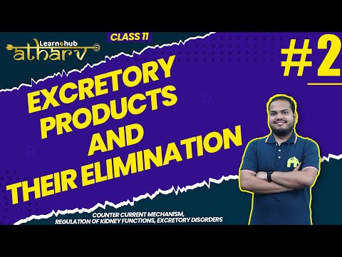 Excretory Products and their Elimination Class 11 Biology NCERT Chapter 15 #2 | Atharv Batch