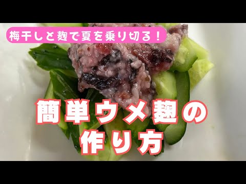 梅干しと麹で夏を乗り切る！簡単ウメ麹の作り方。