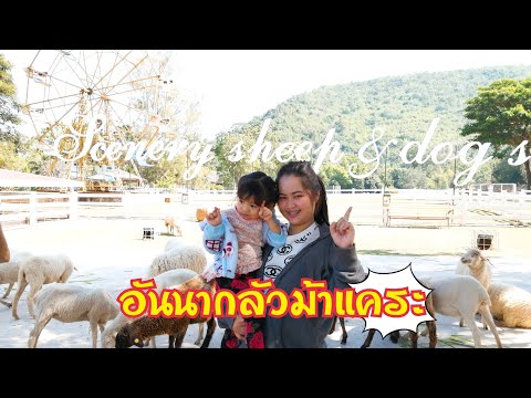 เที่ยวสวนผึ้ง​ | The​ scenery Vintage Farm​ จ.ราชบุรี​ | food​ travel​ studio​