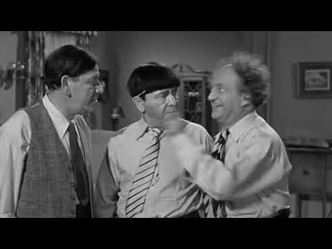 The Three Stooges Tax Evasion Schemes (HILARIOUS)