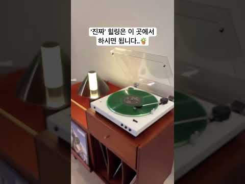 1박 20만원대 찐 힐링 가능한 고성 독채 감성숙소 파우제 🌱 푸릇푸릇한 식물이 가득한 곳에서 조식으로 마무리하는 1박 여행