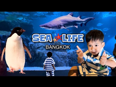 EP:10 SEA LIFE Bangkok Ocean World (9/7/66)