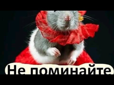 С наступающим!!! Всего наилучшего в Новом году!!!⛄🎉🎄🎉❄️💖