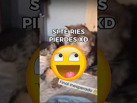 SI TE RIES PIERDES! #humor #siteriespierdes #siteriespierdesniveldios #youtubeshorts #izzhu