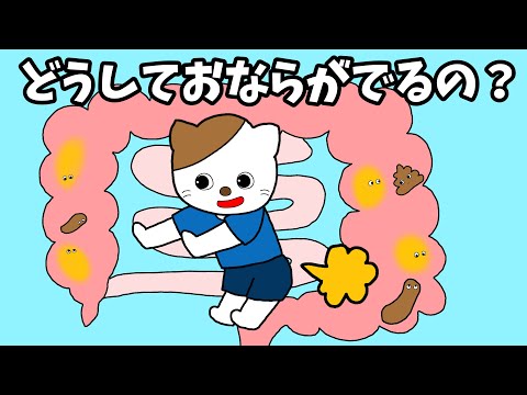 【アニメ 絵本読み聞かせ】おならのしくみ〜どうしておならがでるの？〜