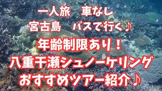 【年齢制限あり！】大至急行こう！宮古島八重干瀬シュノーケルツアー♪おすすめツアー会社紹介♪一人旅、車なしでも大丈夫♪