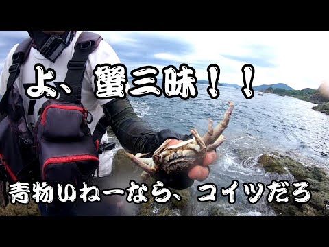 青物いなかったから、蟹獲ってきた！！