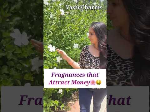 Fragnances that attract money. #youtube #youtubeshorts #vastucharms #astrology #vastutips #vastu