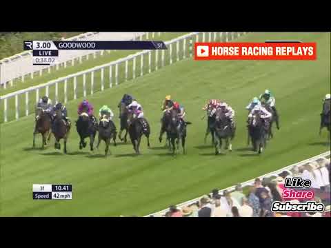 Big Mojo / (G3) Molecomb Stakes Goodwood 31 Jul 2024