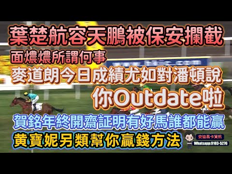 葉楚航容天鵬雙雙被保安攔截面燶燶所謂何事.麥道朗今日成績尤如對潘頓說你OUTDATE啦.賀銘年終開齋証明有好馬誰都能贏.黃寶妮另類幫你贏錢的方法.