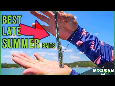 The BEST LATE SUMMER FISHING BAITS! ( Bass Fishing Tips )