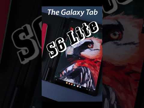 60sec review of Galaxy Tab S6 Lite - great for digital art beginners